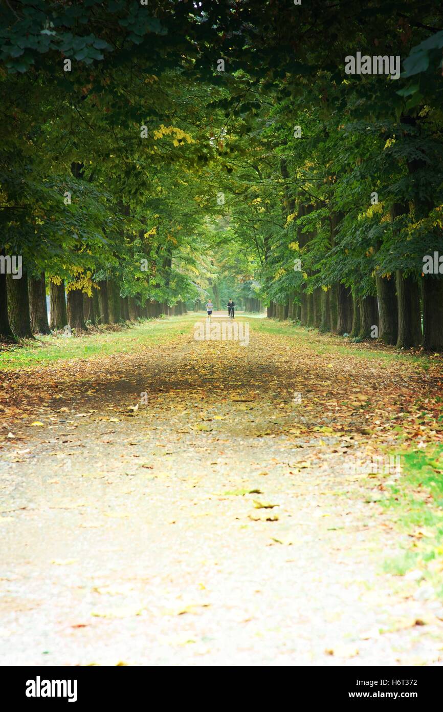 einen Überblick über die Farben des Herbstes Stockfoto