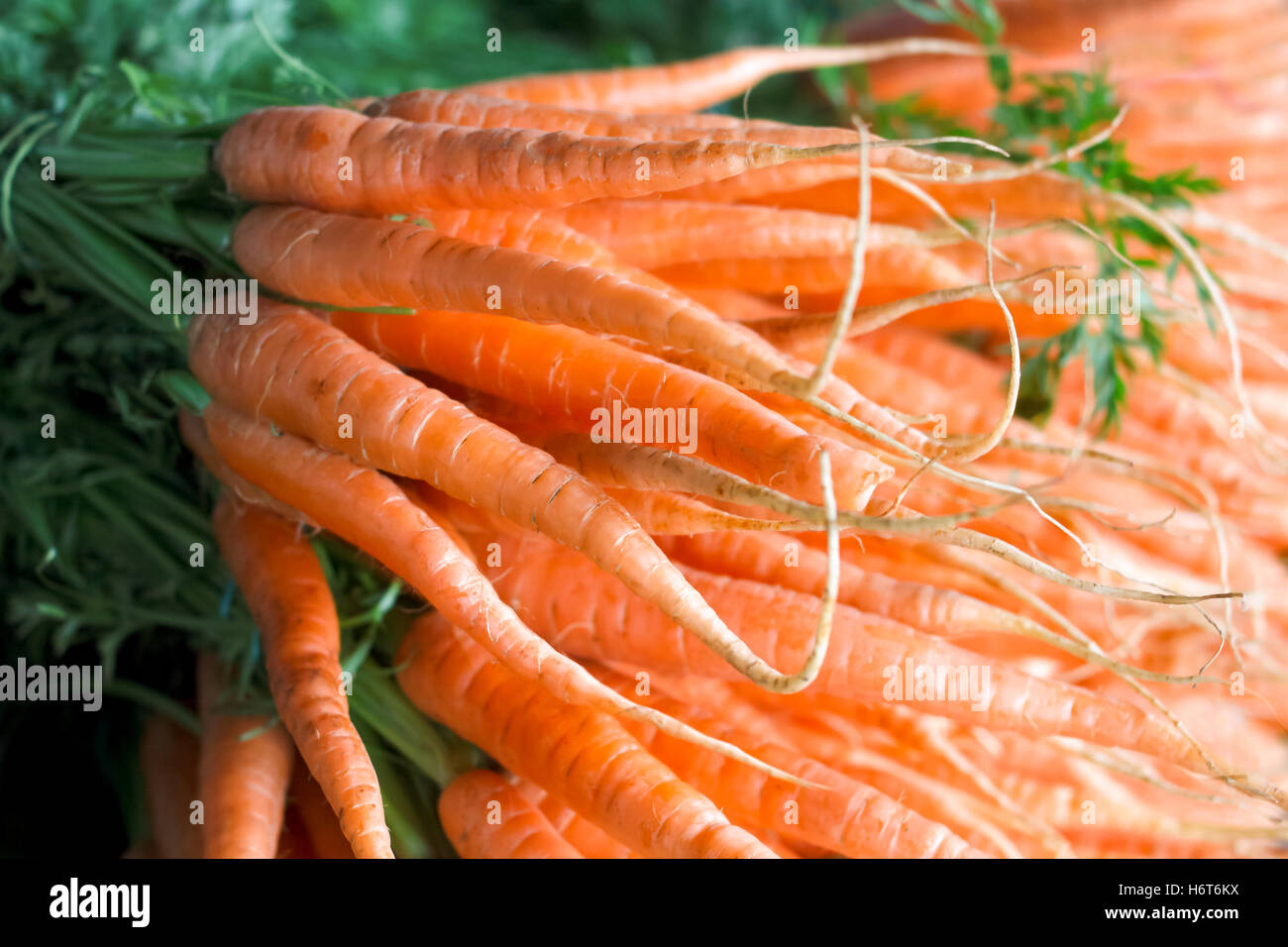 Sehr große Haufen von Karotten in einen Haufen gestapelt. Selektiven Fokus mit Hintergrund Unschärfe. Stockfoto