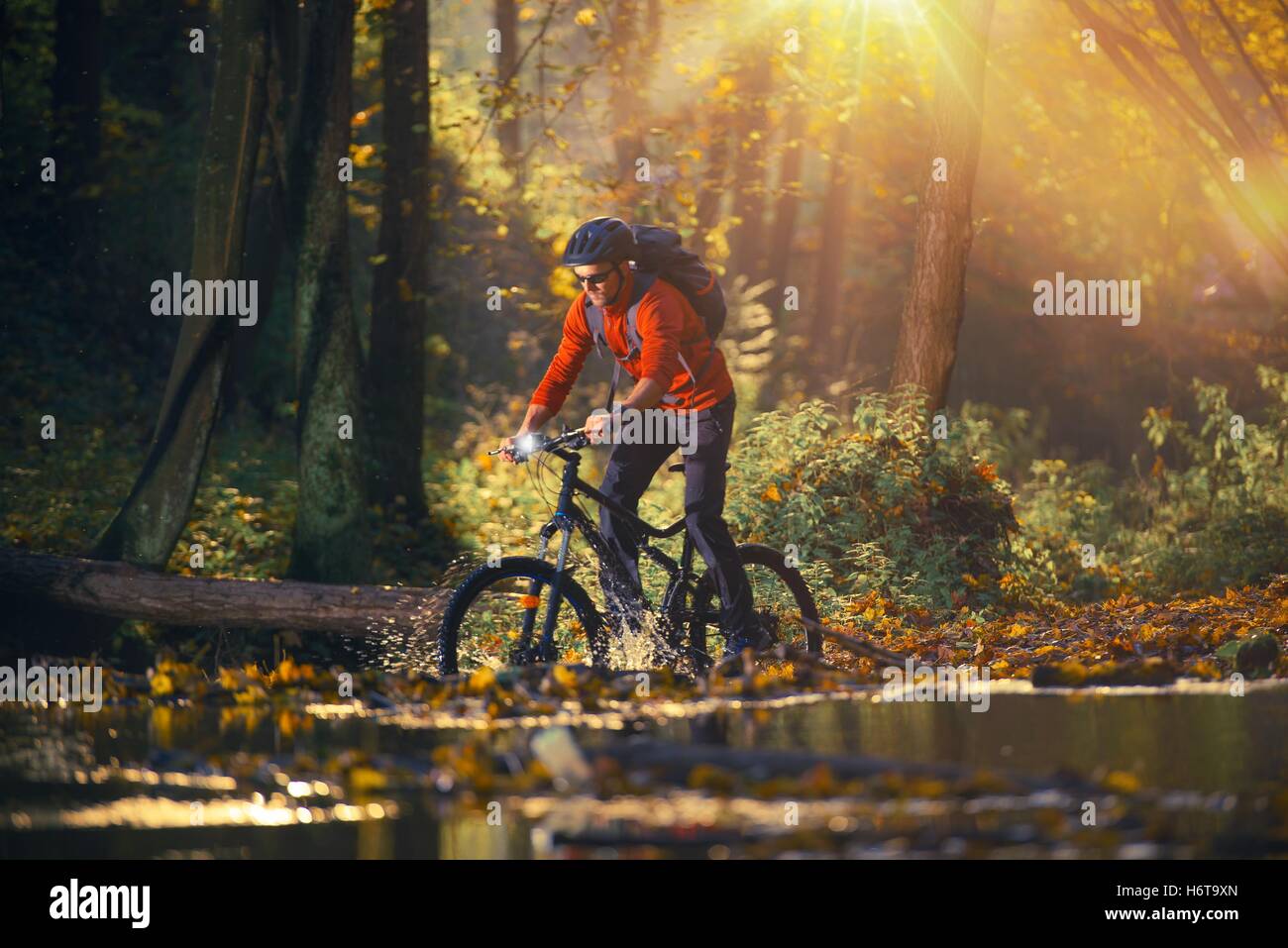 Radtour in den Herbst-Saison-Wald. Kaukasische Männer auf dem Mountainbike Stockfoto