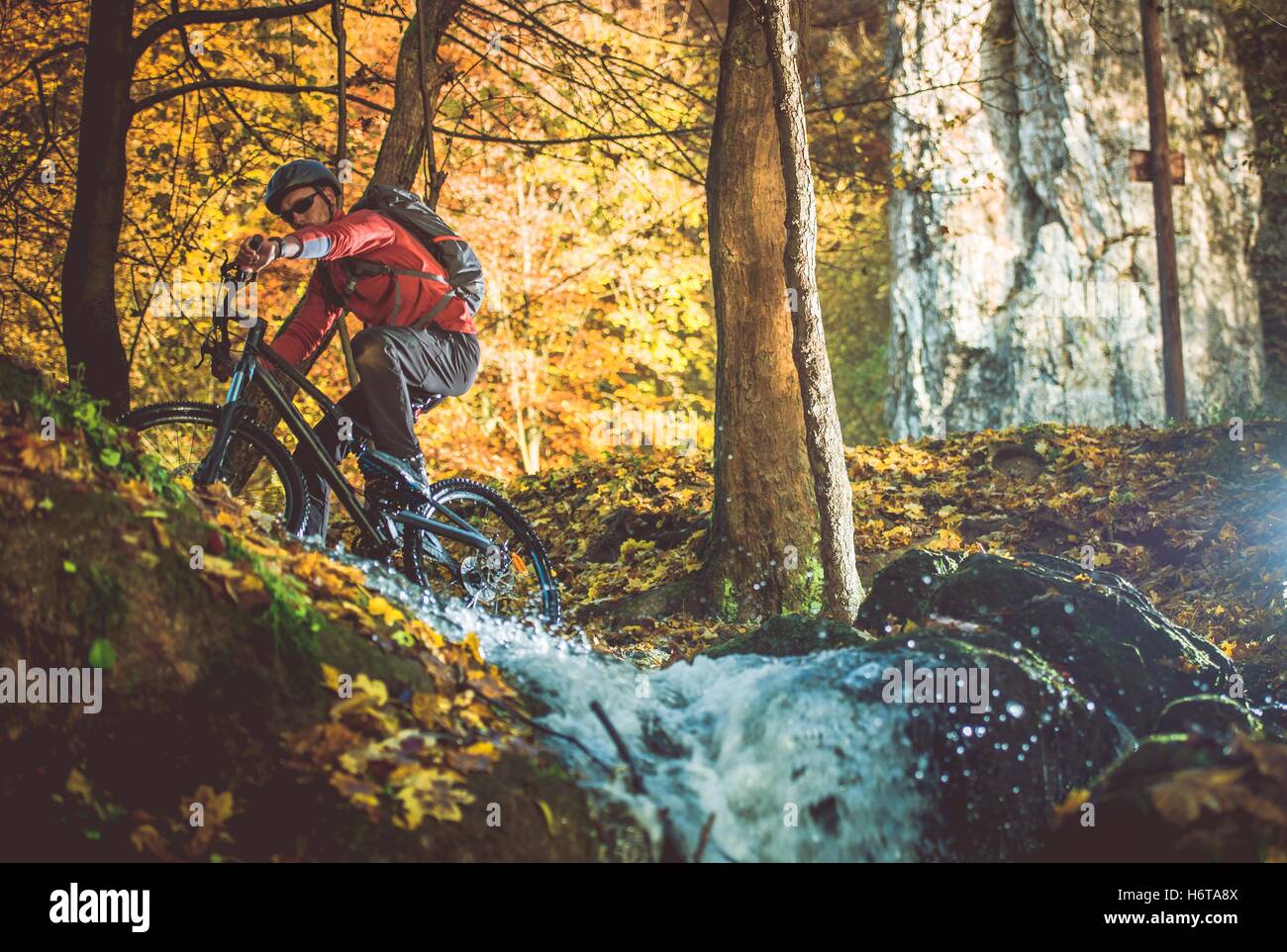 Scenic-Wald-Radweg. Herbstlaub, Radfahren. Kaukasische Männer auf der Radtour. Stockfoto