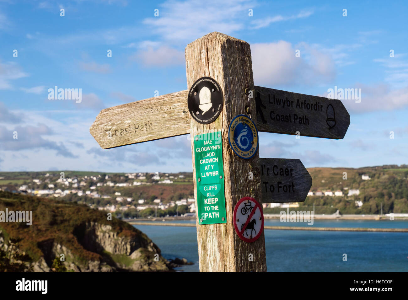 Zweisprachige Pembrokeshire Coast Path National Trail Wegweiser mit Eichel-Logo. Fishguard Pembrokeshire Wales UK Großbritannien Stockfoto
