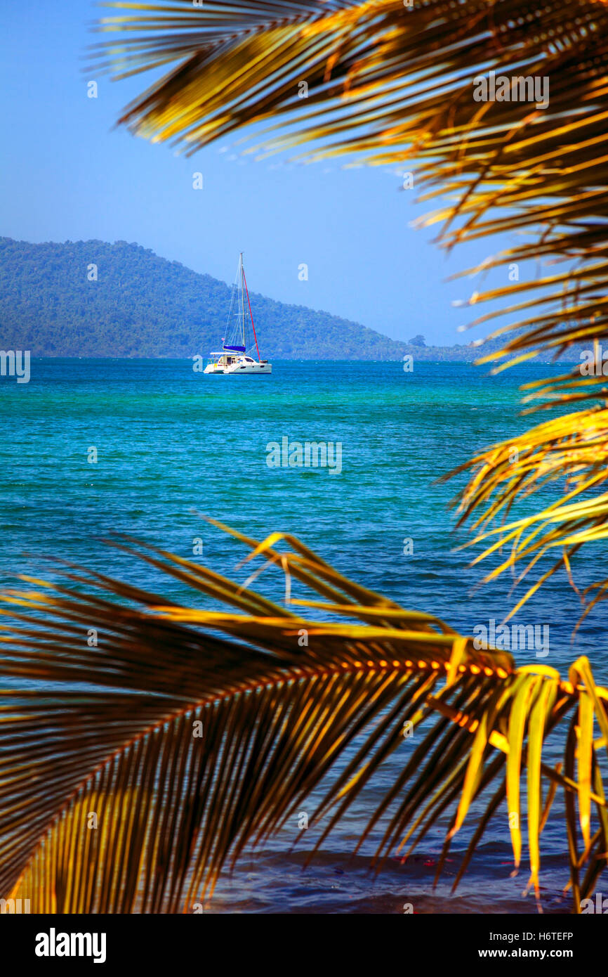 Segelboot in den Golf von Thailand, umrahmt von Palmen Blätter Stockfoto