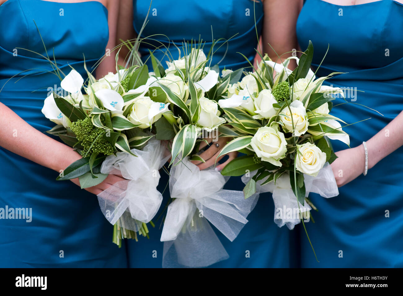 blau, Hochzeit, Trauung, Trauung, Ehe, Lebensgemeinschaft, Stockfoto