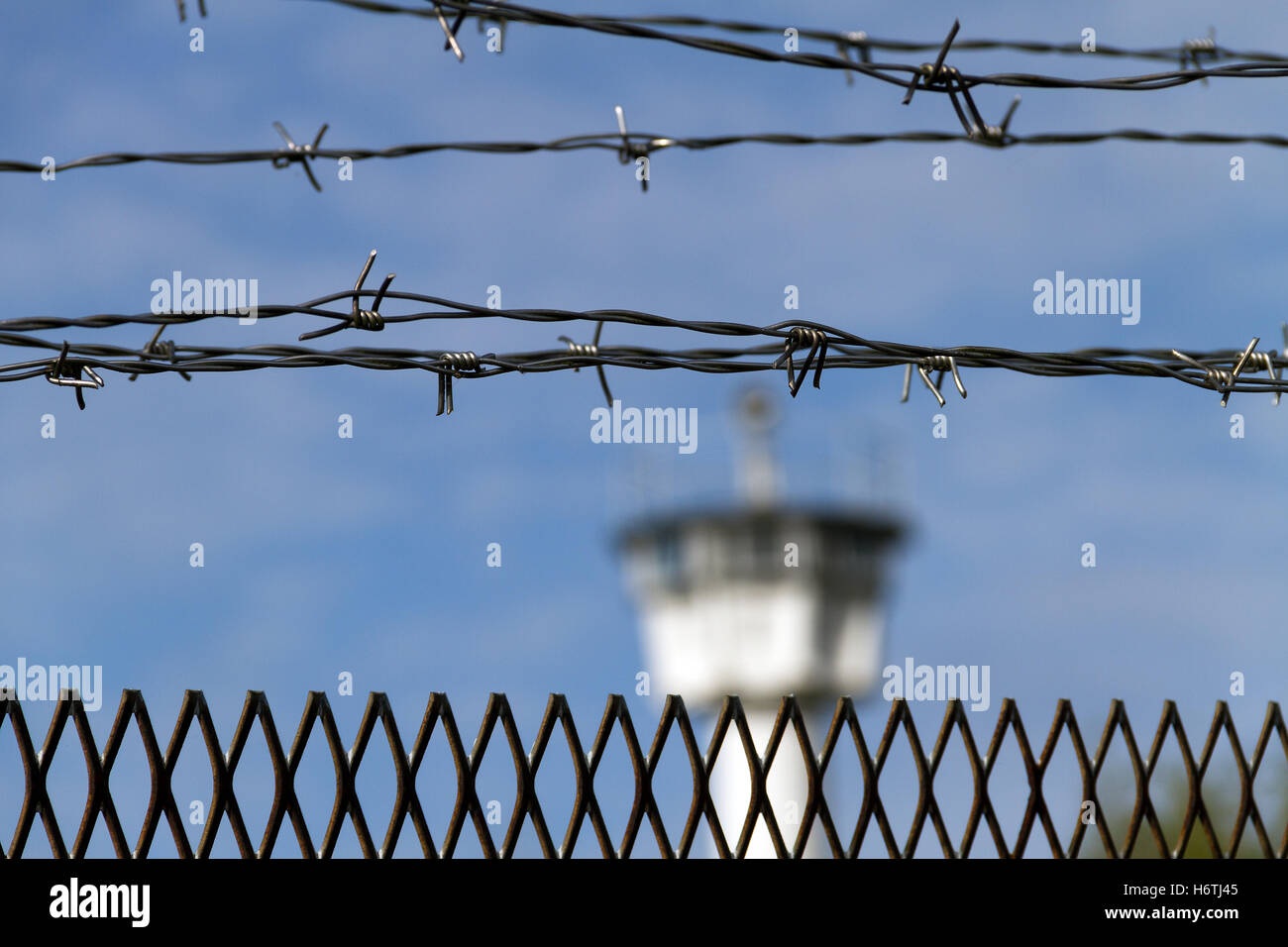 Baum, Bäume, Feld, Stream, Bayern, Grenzübergang, Grenzschutz, Grenze Stockfoto