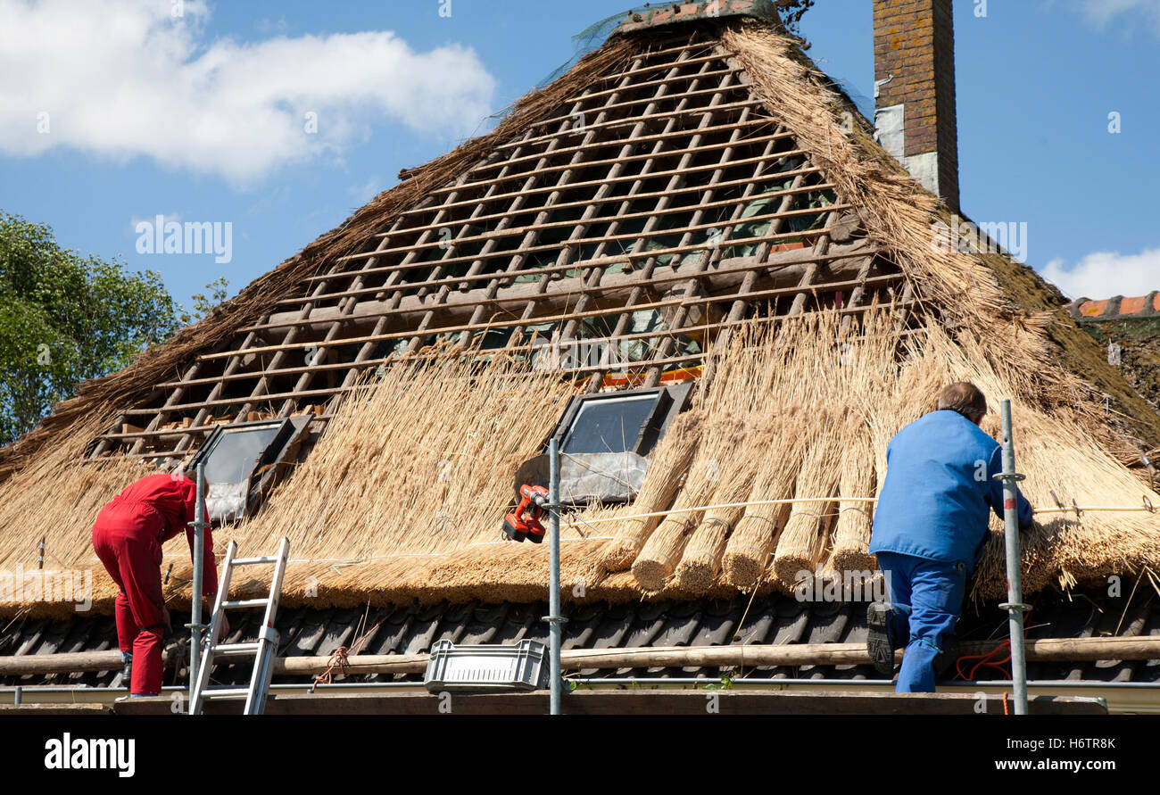 neue Holland Niederlande traditionellen Wiederaufbau Farm Stil des architektonischen Baustils Architektur Hausbau Stockfoto
