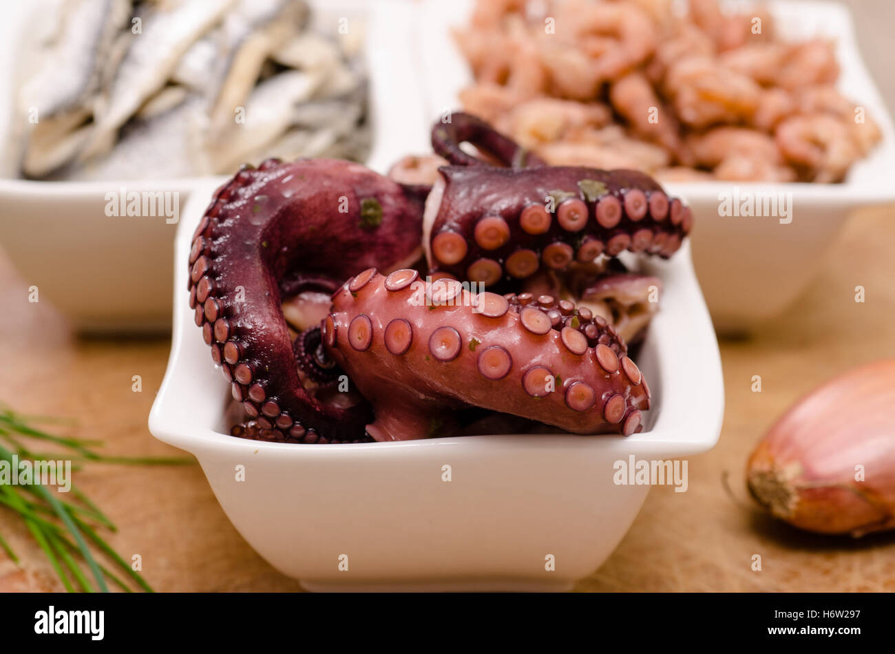 Oktopus vor Sardinen und Garnelen Stockfoto