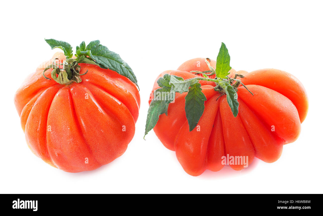 Tomaten essen Nahrungsmittel Blatt frische Studio Gemüse roh rot frisches Beefsteak Tomaten Coeur de Boeuf Beefstek weißen Hintergrund Stockfoto