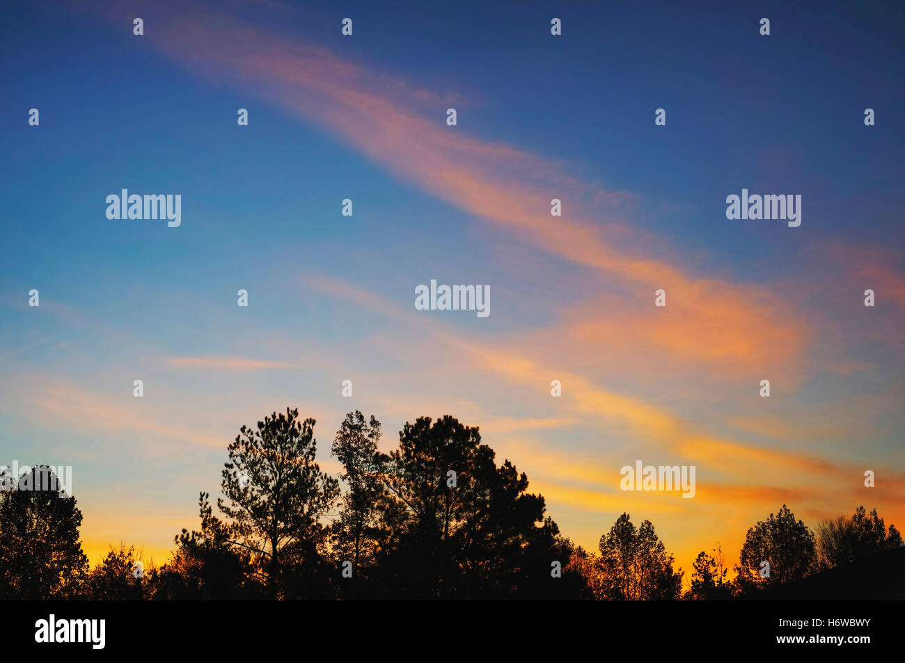 Sonnenaufgang in Vernon, Al. Stockfoto