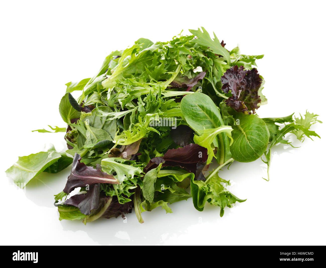 Frühling springenden Bounces Hop überspringen frisks springen Sprung Gemüse vegetarische texturiert Spinat Salat essen Nahrungsmittel Blatt closeup Stockfoto