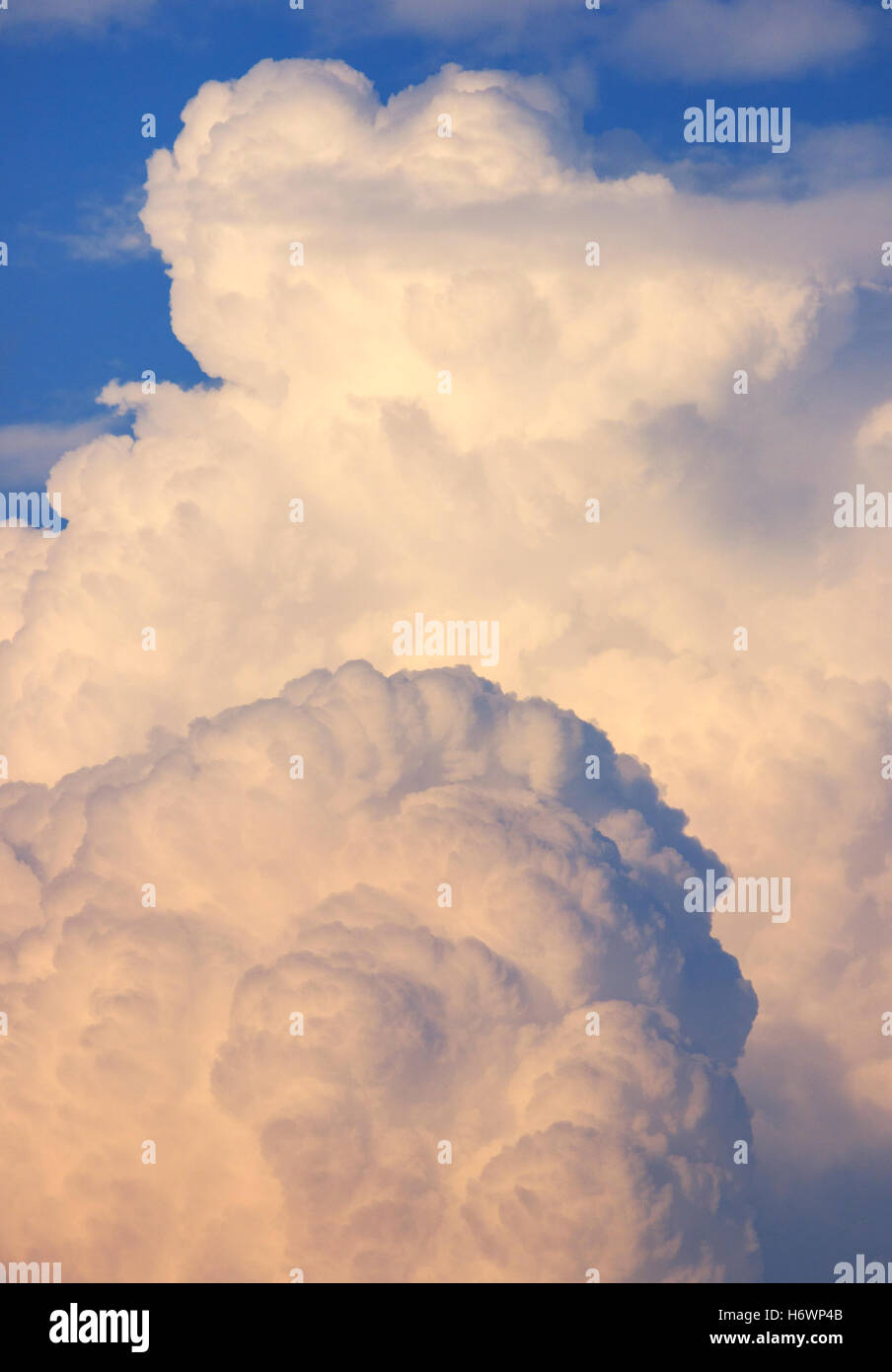 Cumulus-Wolken. Stockfoto