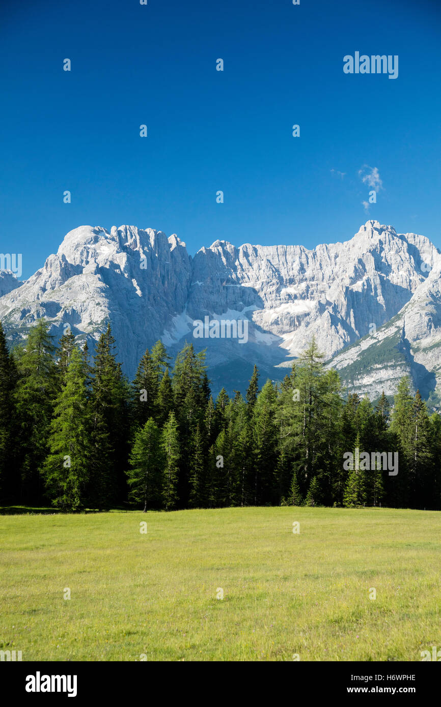 Monte Cristallo aus in der Nähe von Misurina, Sextner Dolomiten, Südtirol, Italien gesehen. Stockfoto