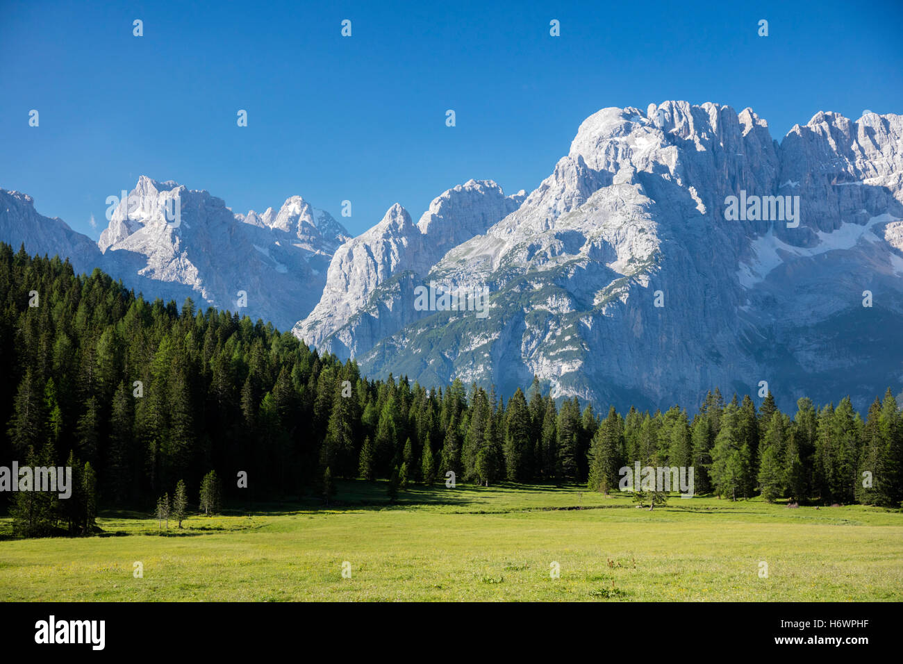 Monte Cristallo aus in der Nähe von Misurina, Sextner Dolomiten, Südtirol, Italien gesehen. Stockfoto