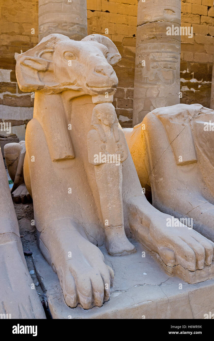 Die Ram leitete Sphinx der Great Court mit der kleinen Statue der Mumie unter seinem Kopf, Karnak Tempel, Luxor, Ägypten. Stockfoto