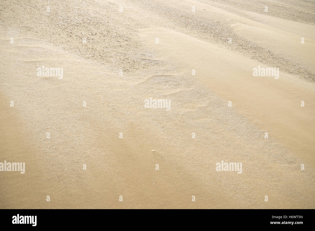 Hintergrund der Sand an einem windigen Nordsee-Strand Stockfoto