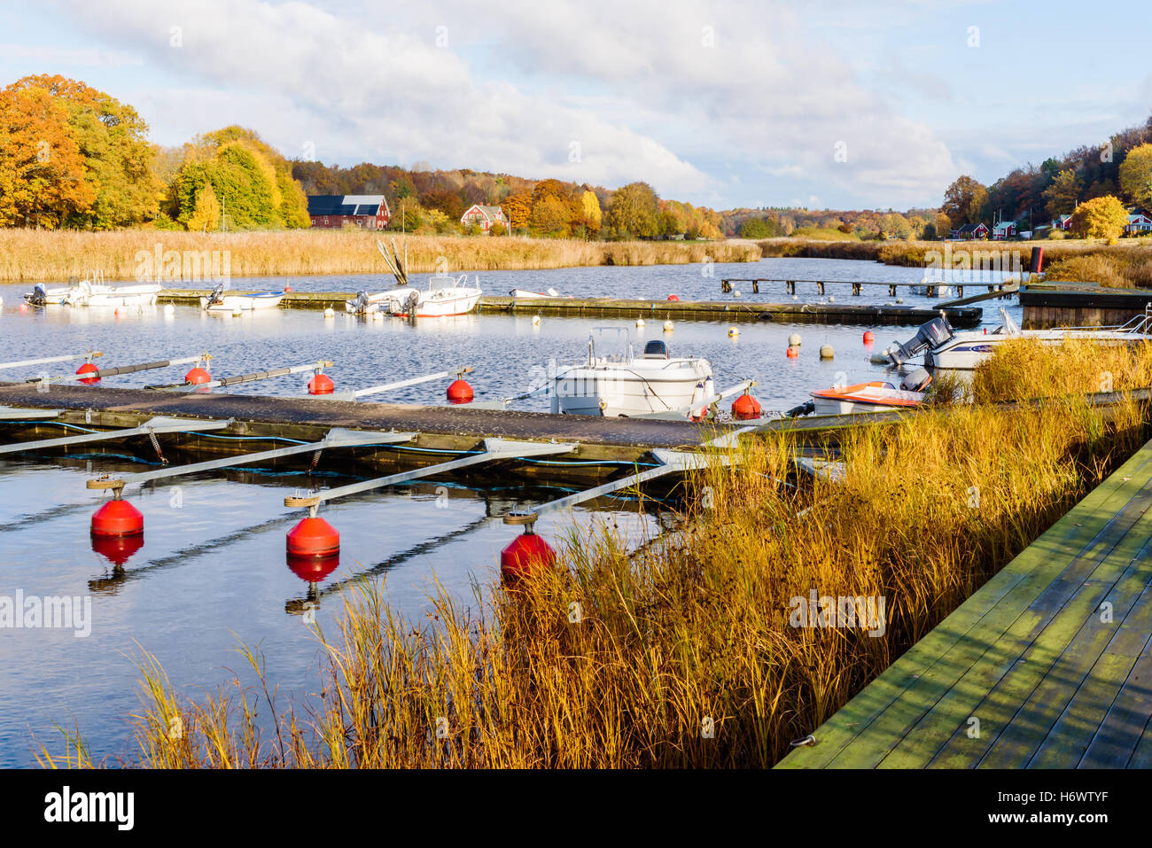 Jarnavik, Schweden - 25. Oktober 2016: Ökologische Dokumentation der küstennahen Lebensweise. Kleine ländliche Marina am Ende der boatin Stockfoto