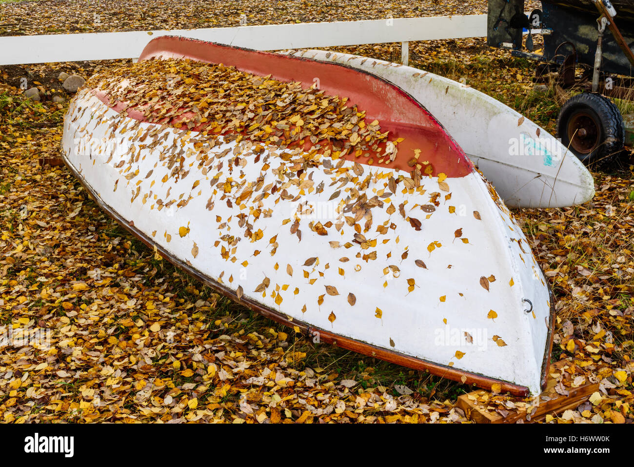 Kopfüber Blätter Ruderboot mit trockenen auf dem Kiel im Herbst. Stockfoto