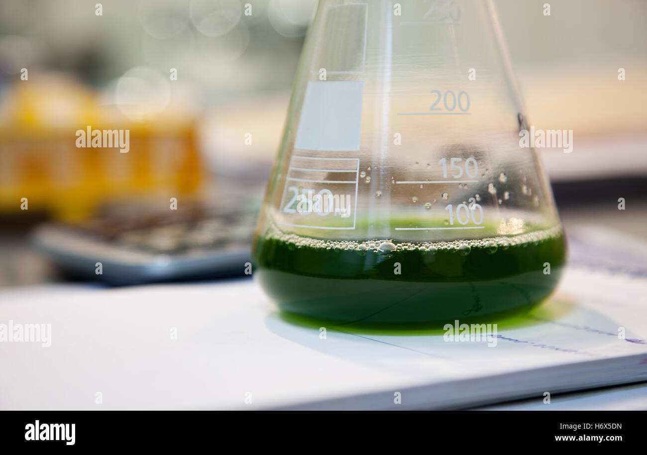 Nahaufnahme einer Flasche mit grüne Lösung in einem Labor Stockfoto