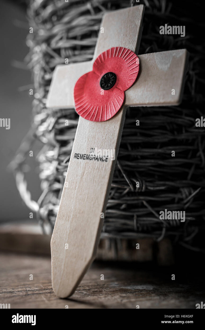 Mohn Appell Kreuz des Gedenkens und der Stacheldraht. Stockfoto