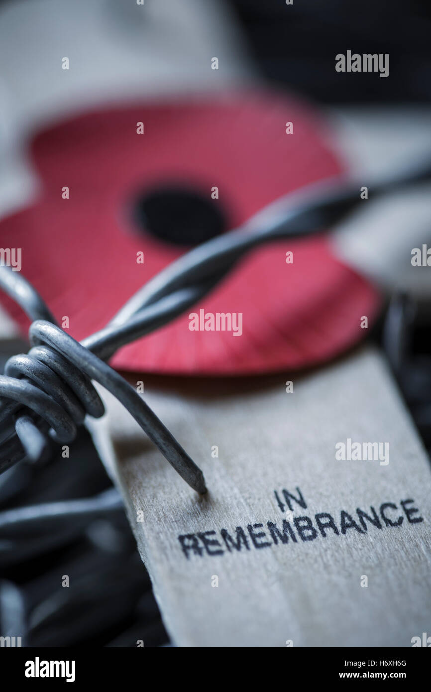 Mohn Appell Kreuz des Gedenkens und der Stacheldraht. Stockfoto
