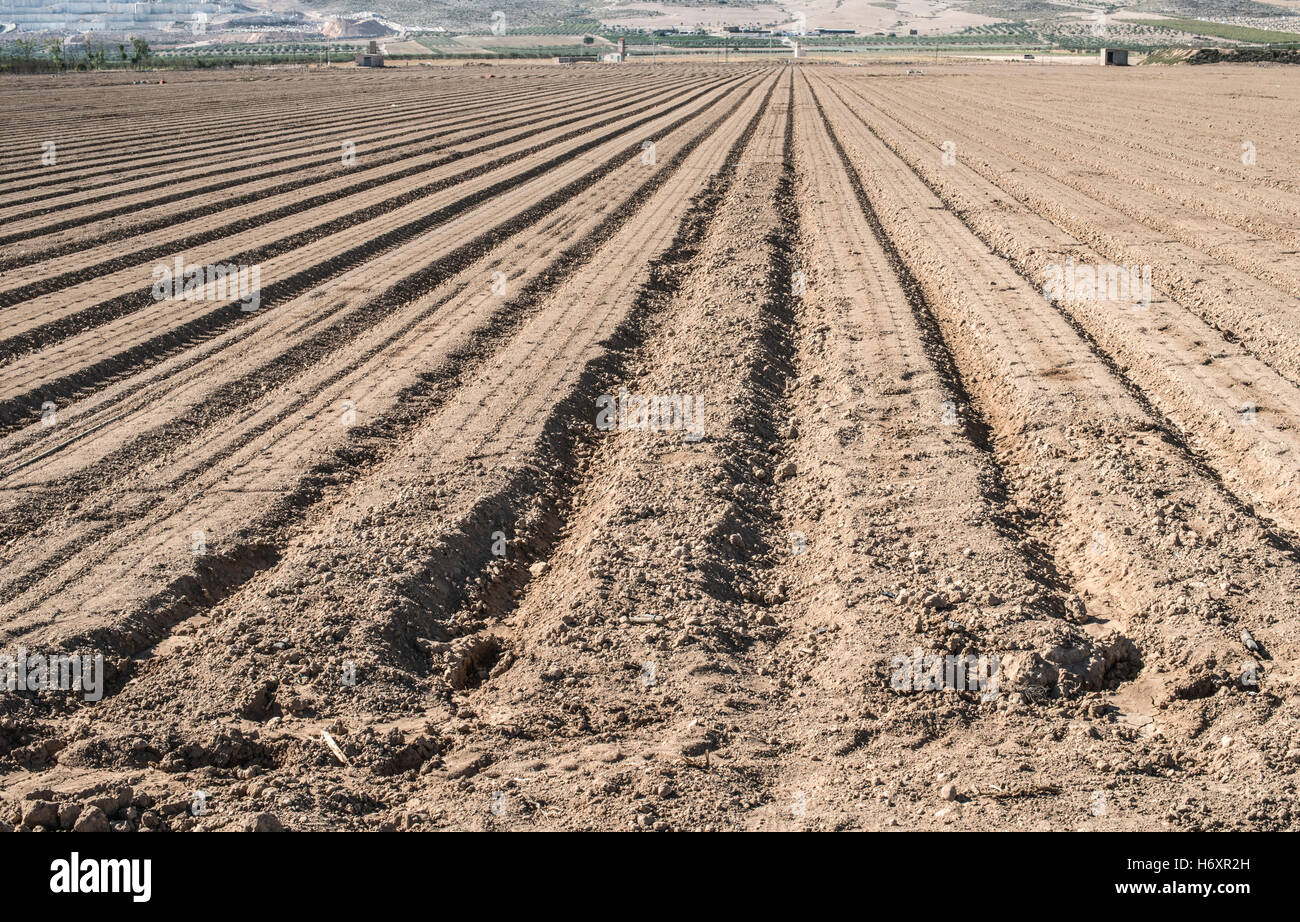 Gepflügtes Land. Sonnigen Tag Stockfoto