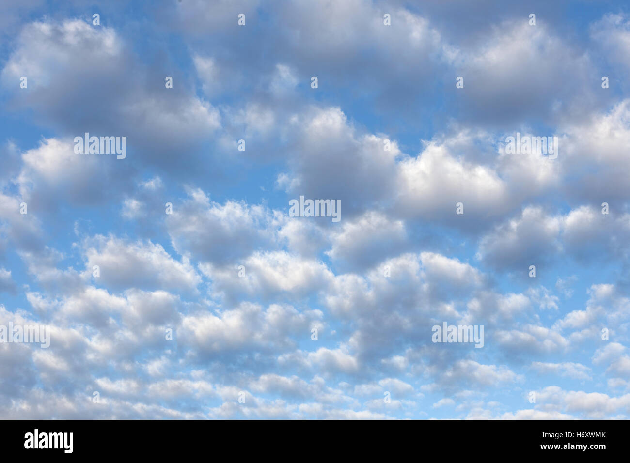 Altocumulus-Wolken-Bildung. Stockfoto