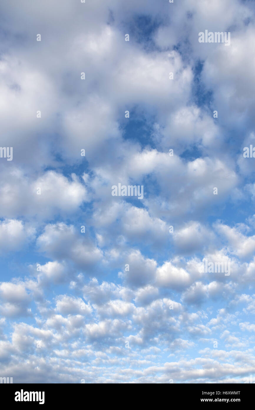 Altocumulus-Wolken-Bildung. Stockfoto