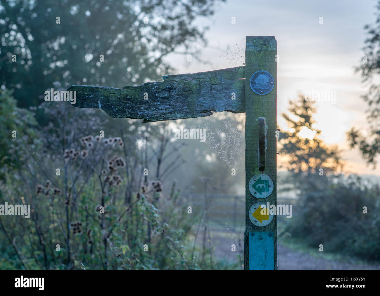 Faulenden hölzernen Fußweg Zeichen an einem nasskalten Herbstmorgen. Stockfoto