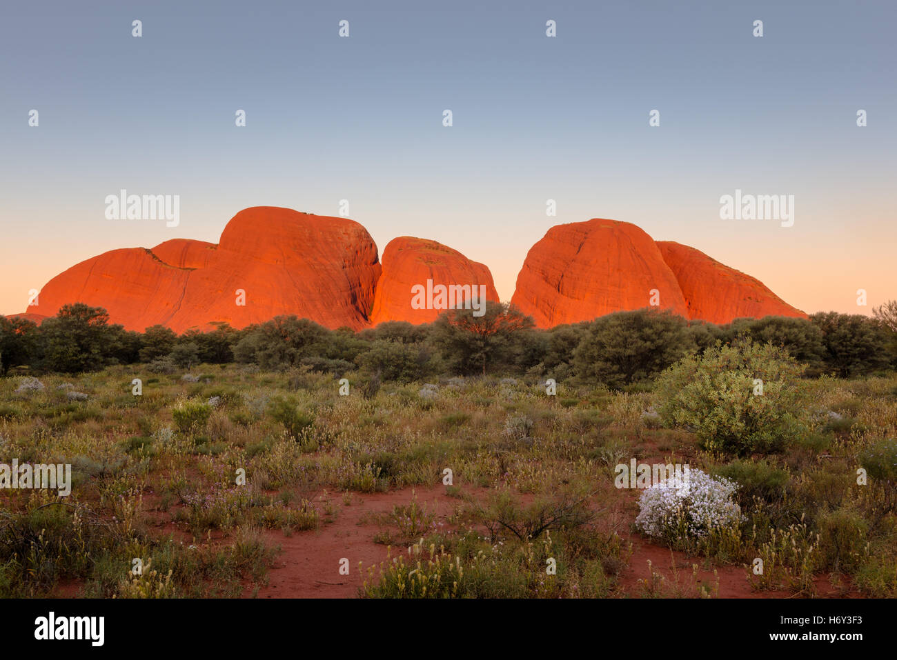 Kuppeln der Kata Tjuta bei Sonnenuntergang Stockfoto