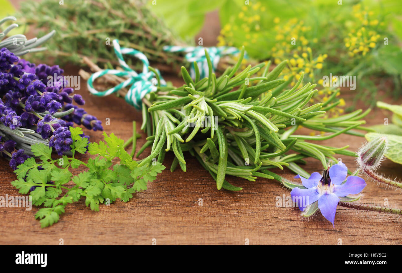 verschiedene frische Kräuter auf einem Holztisch liegend Stockfoto