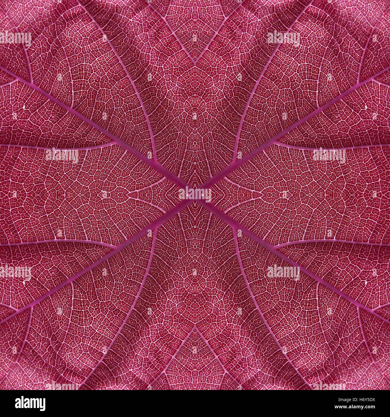 Nahtlose Muster rötlich rosa Blattfarbe Stockfoto