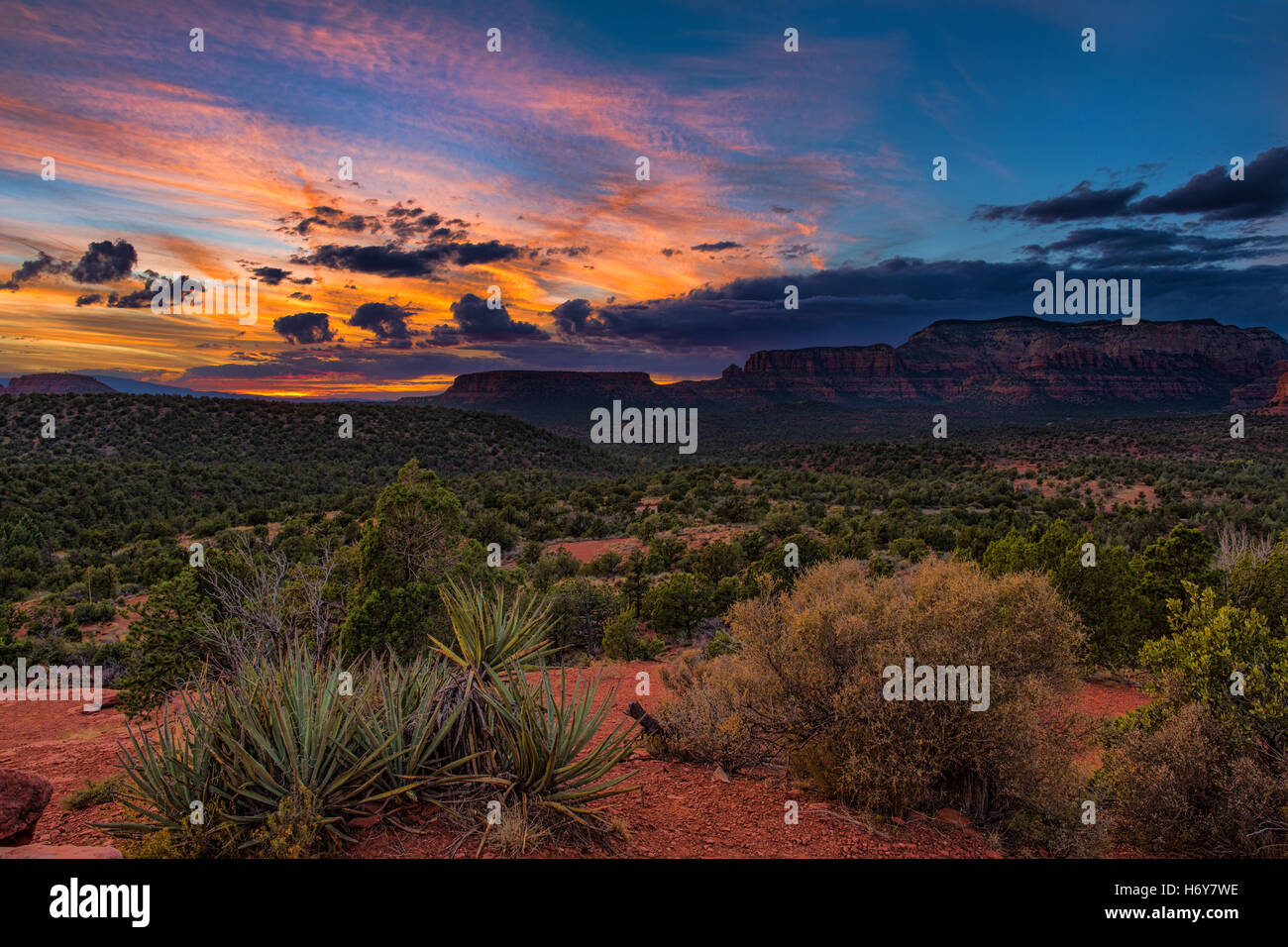 Sonnenuntergang über den roten Felsschluchten in Sedona, Arizona Stockfoto