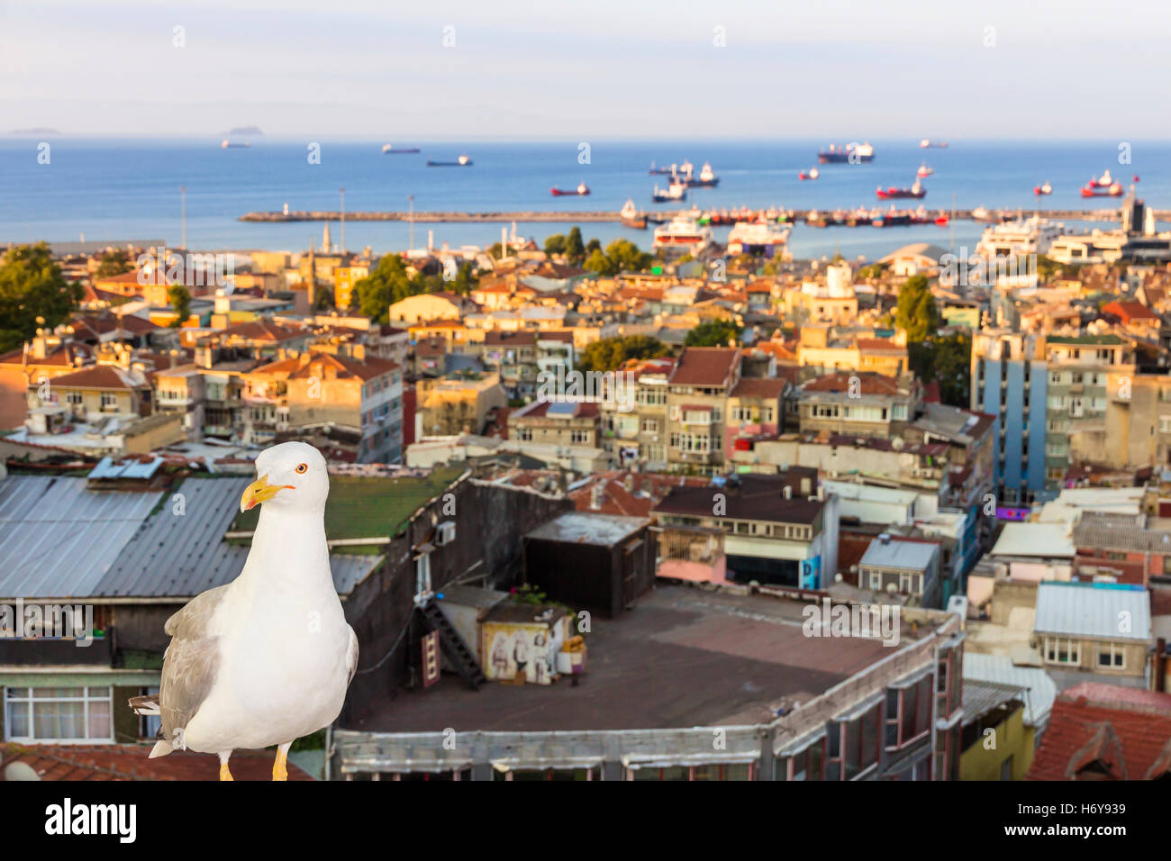 Sehenswürdigkeiten von Istanbul. Ansicht der Stadt. Straßen, Sehenswürdigkeiten, Hotels und Marmara-Meer. Stockfoto