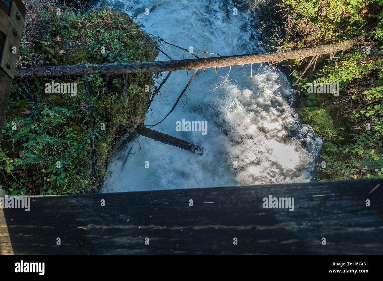 Ein Blick auf Stromschnellen am Tumwater River im US-Bundesstaat Washington. Stockfoto