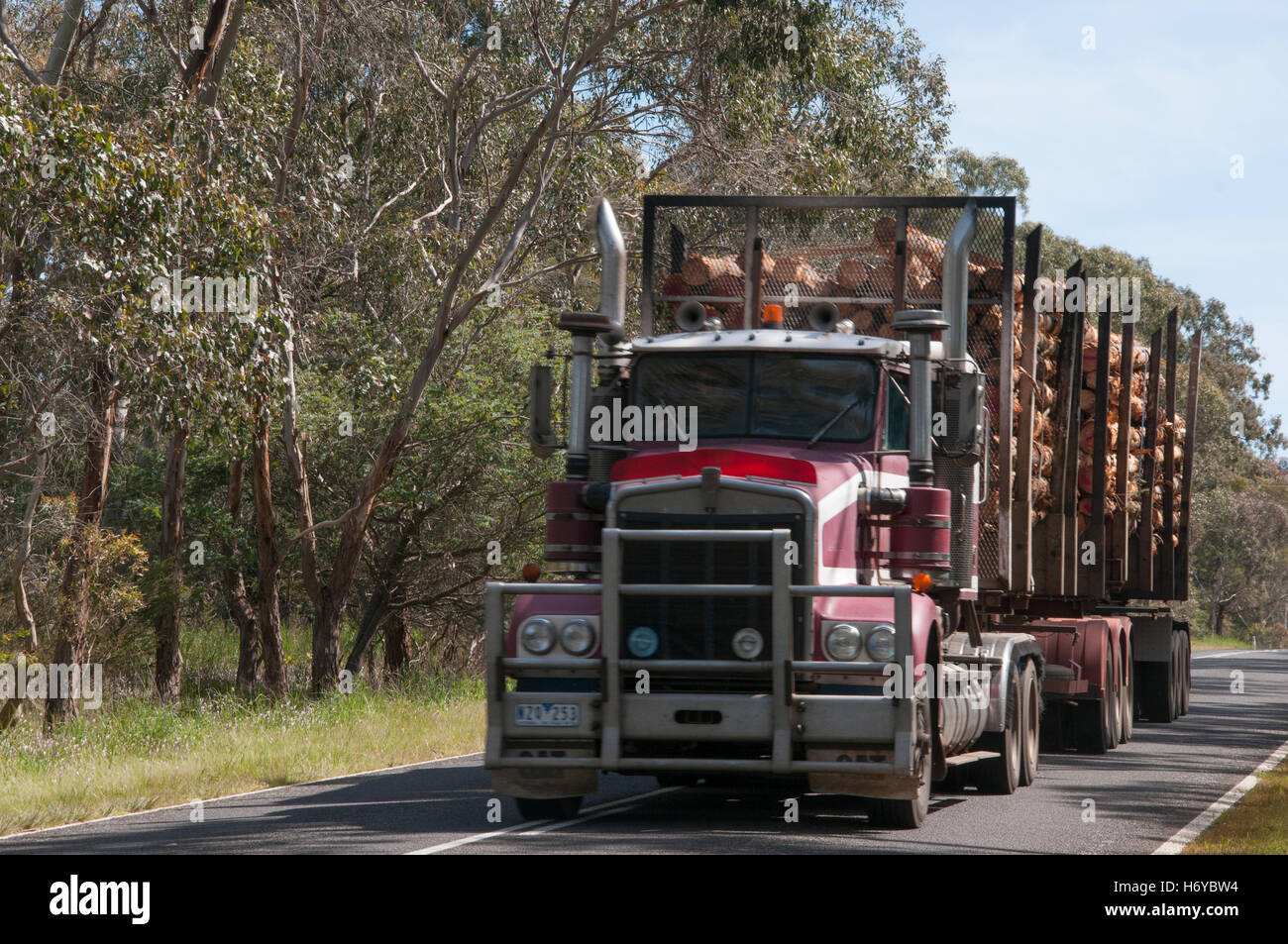 Protokollierung-LKW in der Wimmera Region des westlichen Victoria, Australien Stockfoto