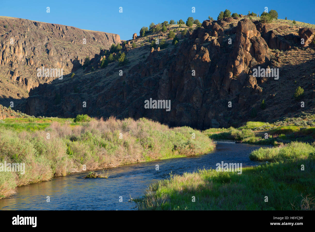 Owyhee River bei Three Forks, Owyhee Wild and Scenic River, Vale Bezirk Bureau of Landmanagement, Oregon Stockfoto