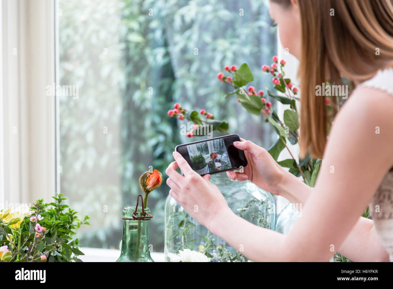 Über die Schulter-Blick der Frau mit Smartphone zum Fotografieren der Blume in Vase Bild heruntergeladen von Hannah Zeffert am 13:44 Stockfoto