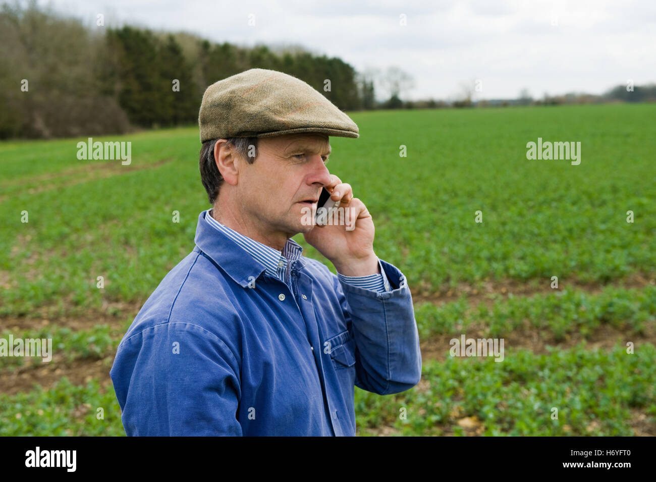 Landwirt mit flache Mütze im Feld am Smartphone sprechen Stockfotografie -  Alamy