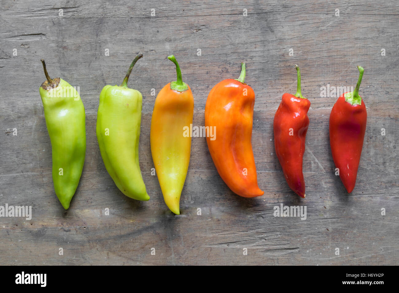 Abschluss der Pfeffer die Farbe von Grün auf rot. Stockfoto