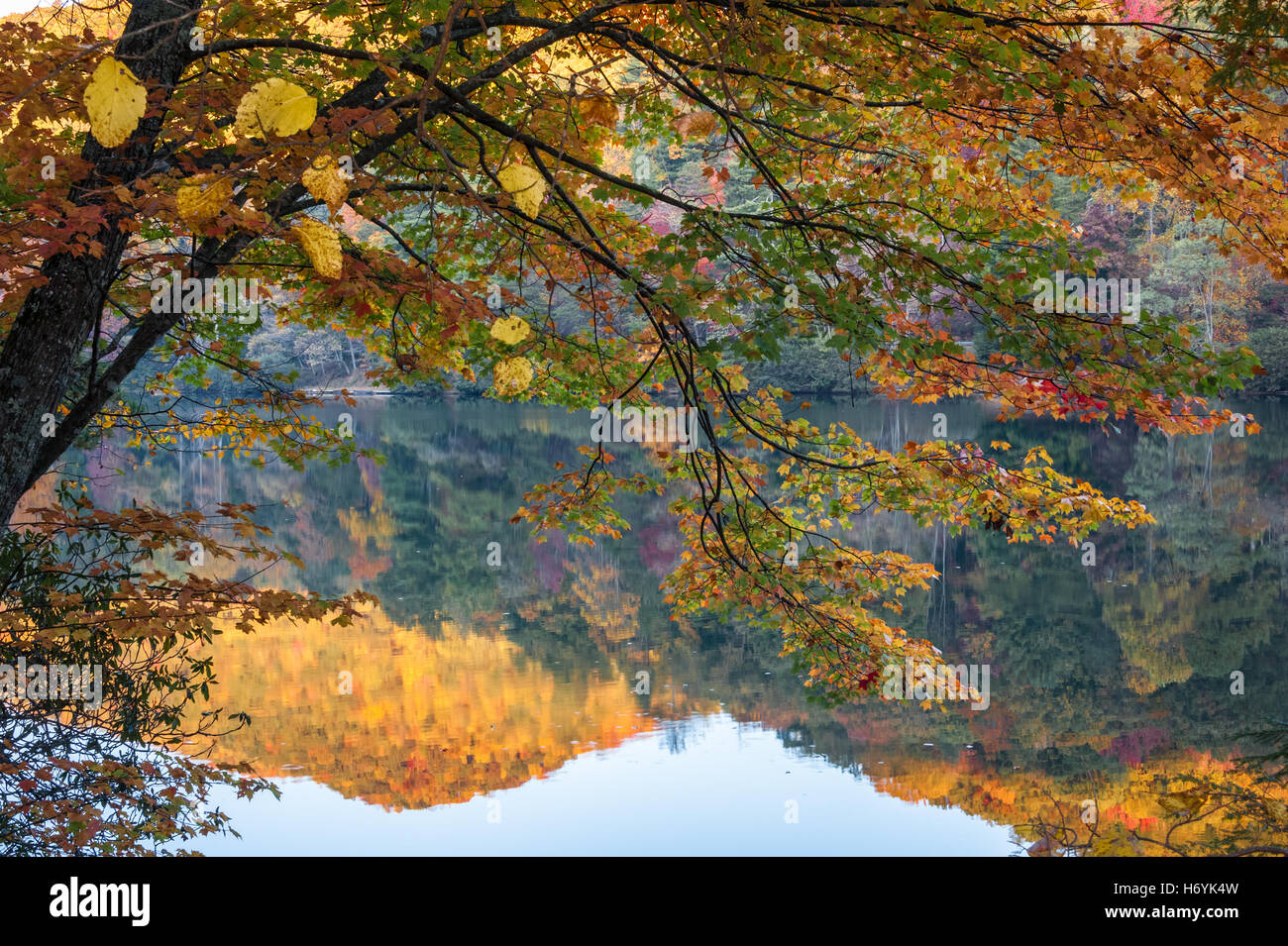 Bunte Herbst Blätter und sonnigen Bergen am Vogel State Park Lake Trahlyta in Blairsville, Georgia, USA. Stockfoto