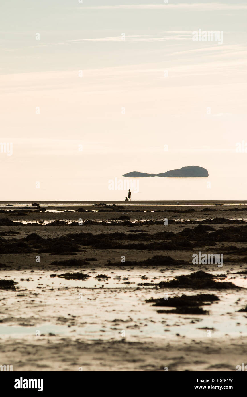 junge Wandern Hund am Strand-silhouette Stockfoto