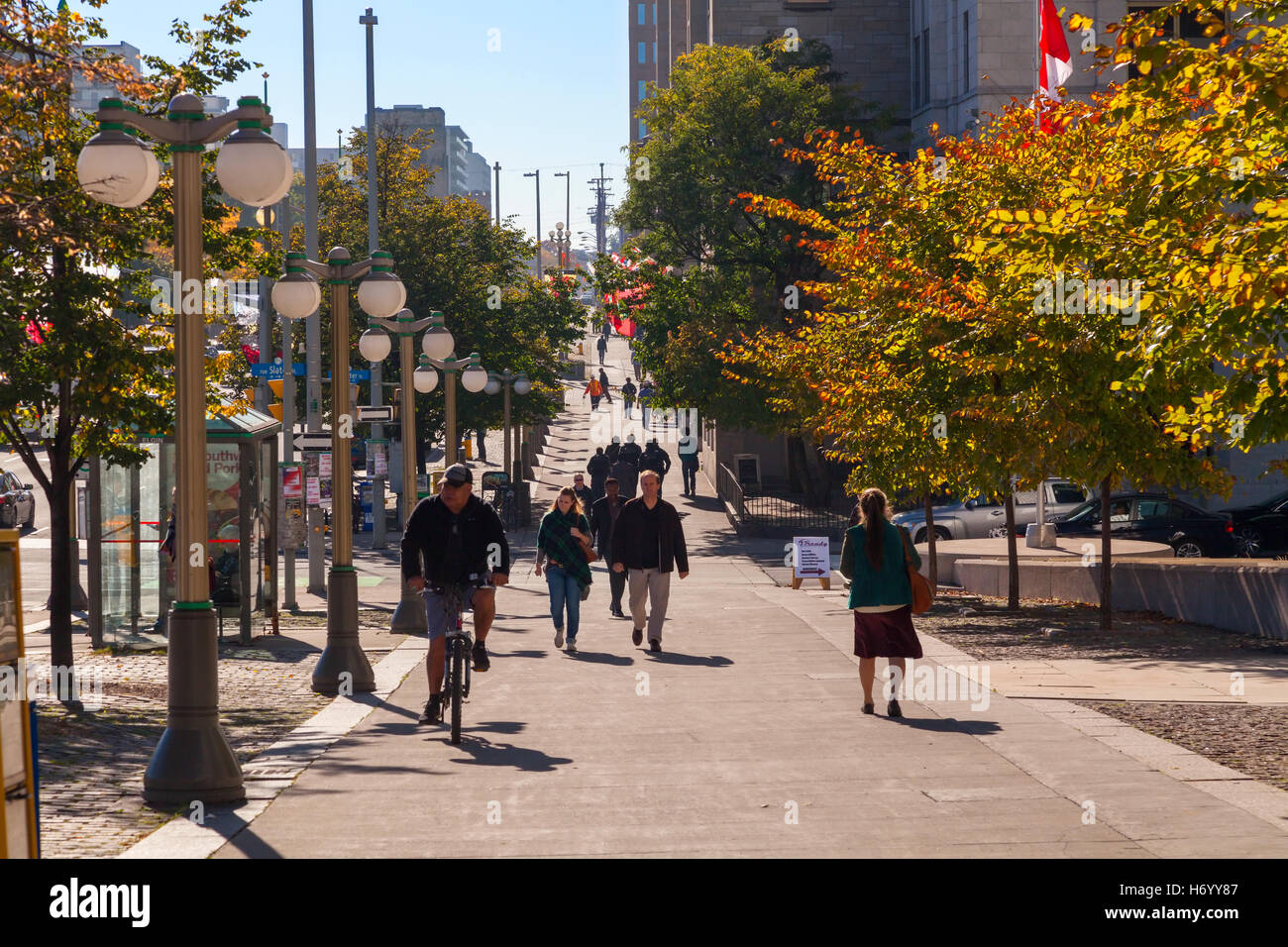 Ein typisches entlang der Elgin Street mit Menschen zu Fuß auf einem Bürgersteig sowie eine Person, die Radfahren in Ottawa, Ontario, Kanada. Stockfoto