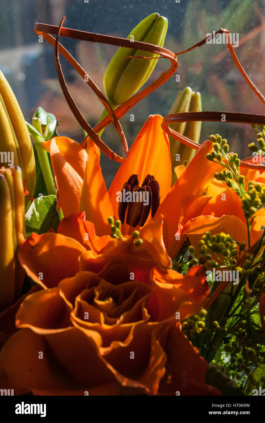 Farbe voll Orangen Blumenstrauß Stockfoto