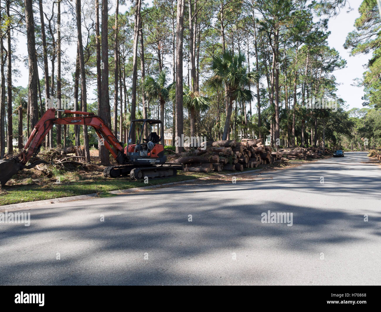 Bereinigung von umgestürzten Bäumen nach einem Hurrikan in South Carolina Stockfoto