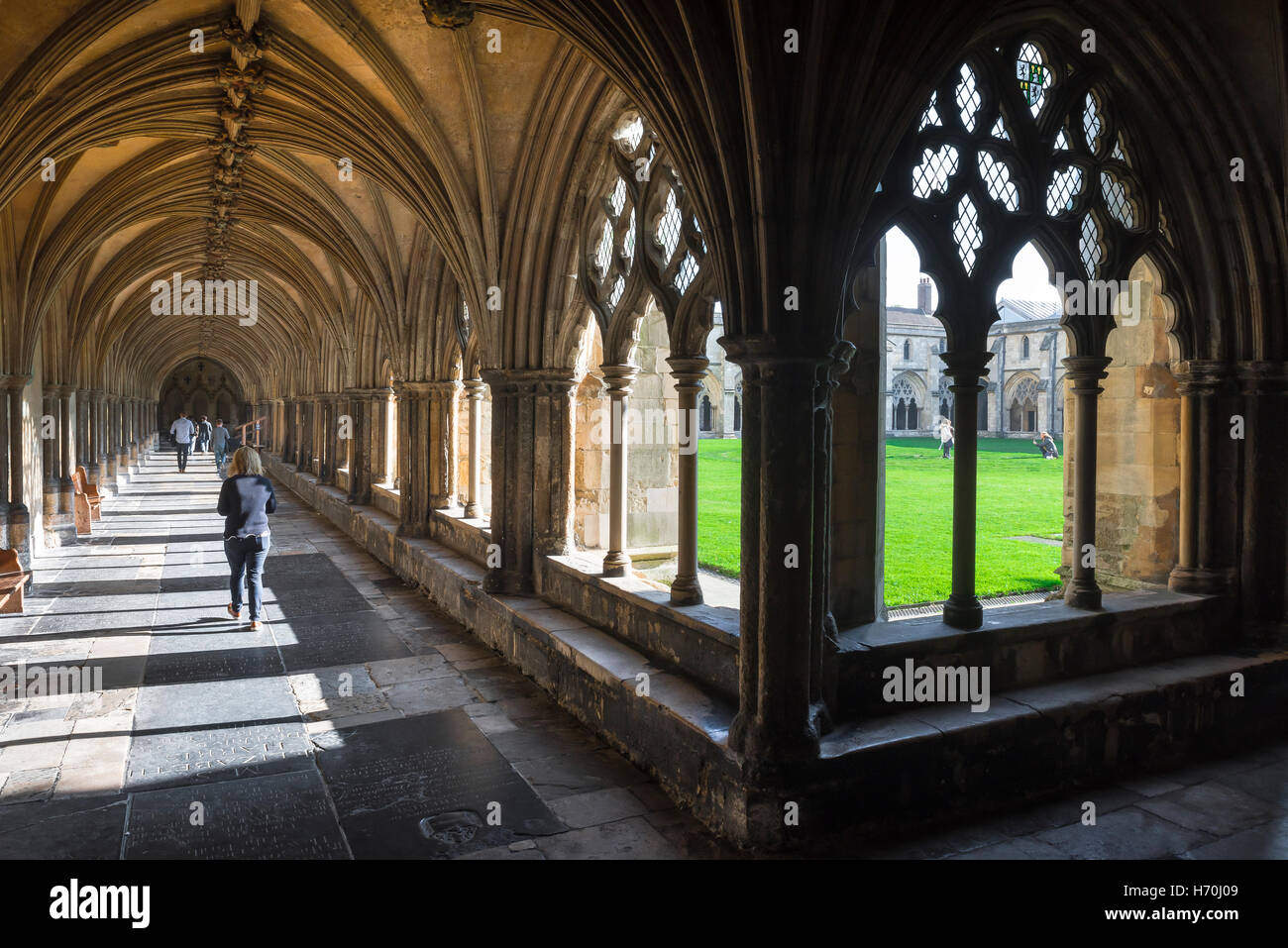 Kreuzgang Kathedrale, Blick auf die der 14. Jahrhundert Kreuzgänge in Norwich Kathedrale, Norfolk, England, Großbritannien. Stockfoto