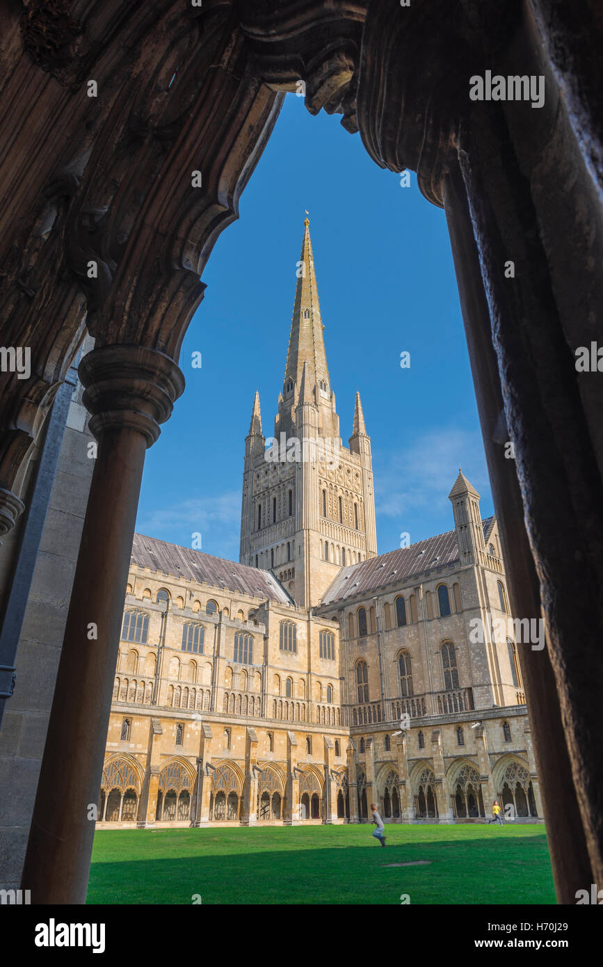 Kreuzgang Kathedrale, Blick auf die Kathedrale von Norwich, eingerahmt in der Arkade des Kreuzgangs aus dem 14. Jahrhundert, Norfolk, England, Großbritannien Stockfoto