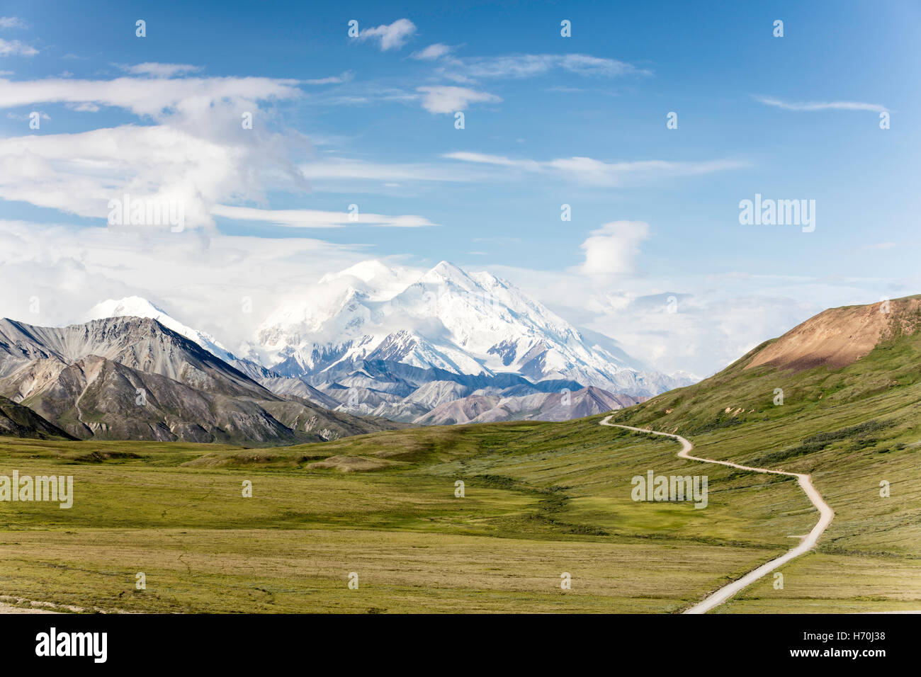 Denali (Mount McKinley) und Thorofare verlaufen vom steinigen Hügel im Denali Nationalpark in Alaska Yunan. Stockfoto