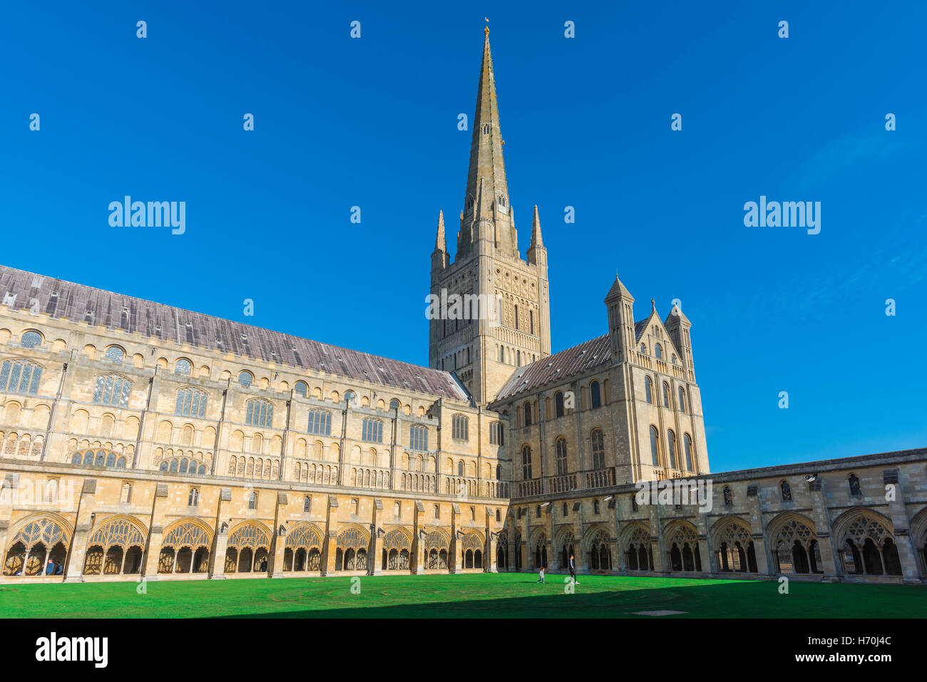 Norwich Cathedral, Blick über das Viereck der Kathedrale der Stadt mit ihrem Turm und Kreuzgang aus dem 14. Jahrhundert, Norwich, Norfolk, England, Großbritannien Stockfoto