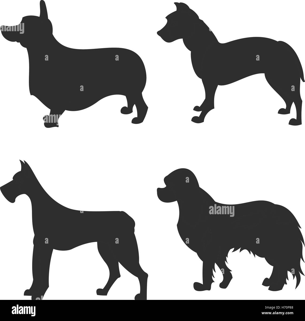 die quadratischen Bild kleine Gruppe von schwarzen Schatten der vier reinrassige Hunde Isoleted auf dem weißen Hintergrund Stock Vektor
