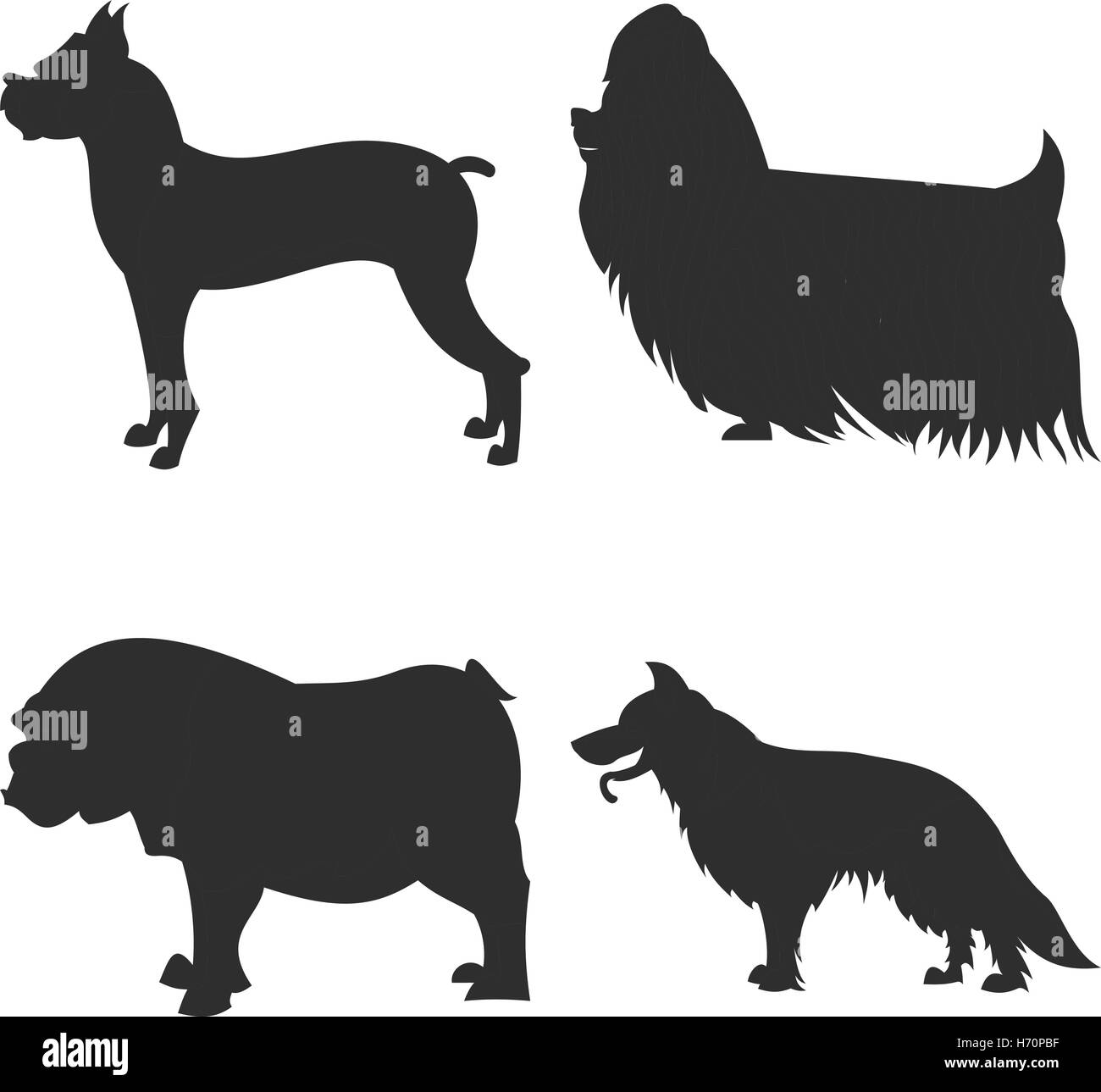 die quadratischen Bild kleine Gruppe von schwarzen Schatten der vier reinrassige Hunde Isoleted auf dem weißen Hintergrund Stock Vektor