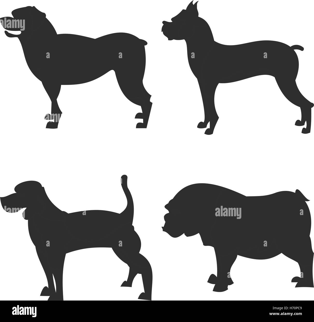 die quadratischen Bild kleine Gruppe von schwarzen Schatten der vier reinrassige Hunde Isoleted auf dem weißen Hintergrund Stock Vektor